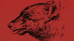 Dokážete najít člověka na tomto optickém obrázku?