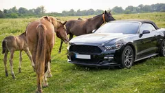 Zajímavost o tom, proč se výkon motoru měří v koňských silách