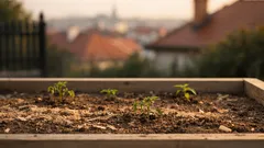 Proč vám ve vyvýšeném záhonu nic neroste a jak to rychle napravit