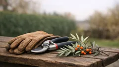 Rakytník řešetlákový na zahradě: kam ho zasadit, aby rostl rychle a plodil