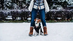 Jak dlouho by měla trvat optimální procházka se štěnětem?